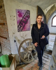 Expozitia Impetus oct. 2022 - Turnul Sfatului Sibiu
