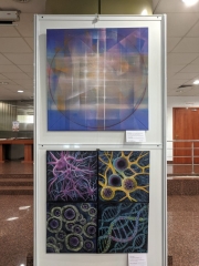 Expozitie ”Miracolul unei zile” - iun 2023 FITS - Biblioteca Astra Sibiu