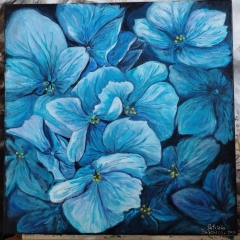 Hortensii - acrilic pe panza, 50x50 - expo Fotosinteza 2025 Hortensii - acrilic pe panza, 50x50 - expo Fotosinteza 2025